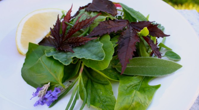 We’ll Say We Met at Starbucks.