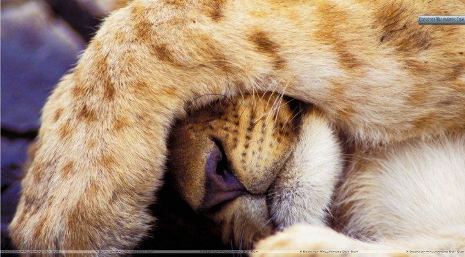 I’m Doing it Again.